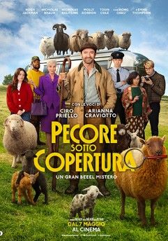 Pecore sotto copertura